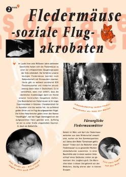 Flyer Fledermäuse – soziale Flugakrobaten (Biologie der Fledermäuse)